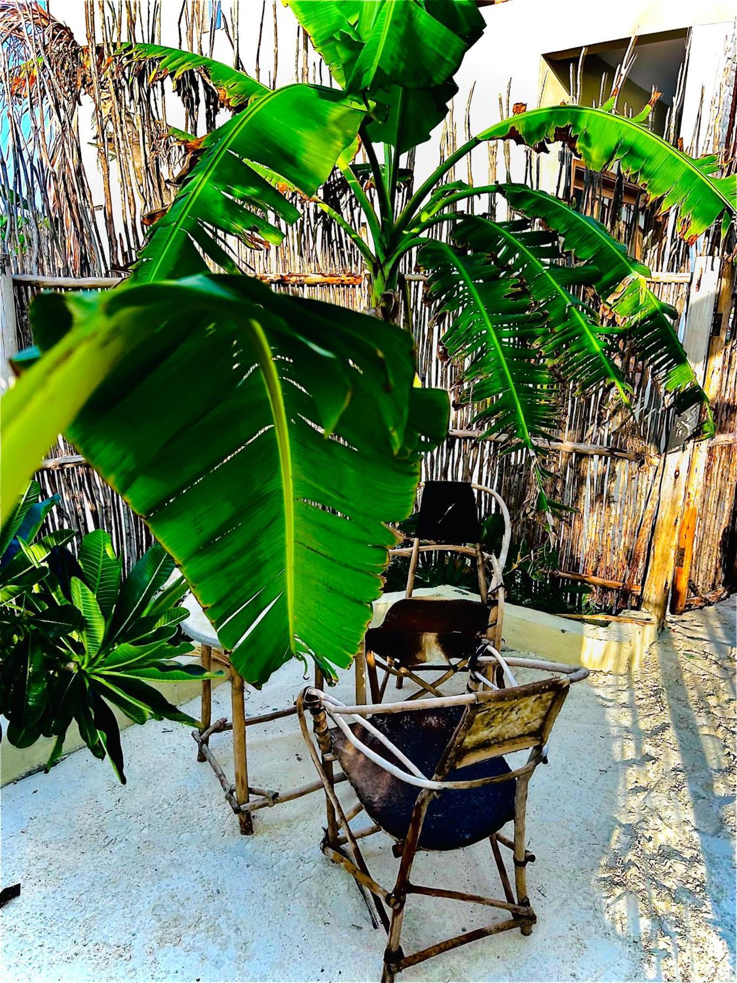 Zanzi Soul Luxury Boutique Hotel جامبياني المظهر الخارجي الصورة